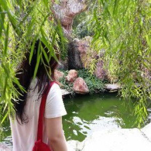 Wei Yun Zhang profile icon