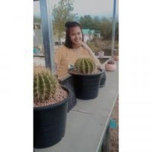 อรอนงค์ บุญญาธิการ profile icon