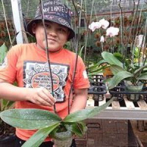 Eka Qolifah profile icon