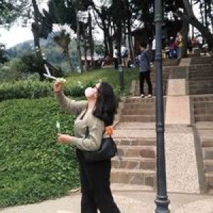 Siti Fatimah profile icon