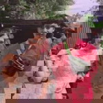 Pornthida Somhae profile icon