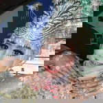 Neng Fitri profile icon