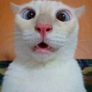 Norfahima Saidin profile icon