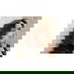Kanokwan Tamong profile icon