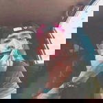 TORMES GAMING profile icon