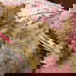 ณัฐพร ทะนันไชย profile icon