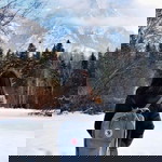 Mulin Iiz profile icon