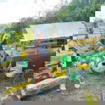 Jemmelie Torres profile icon