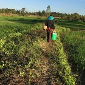 wan wong profile icon