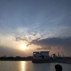 Rena 'jerukmaniez' profile icon