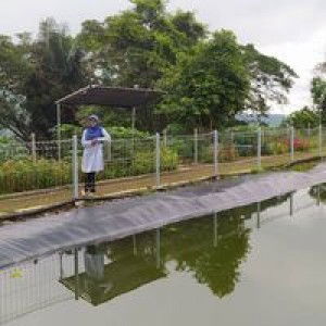 Ummy Kalsum profile icon