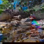 Pitchayapa Panchun profile icon