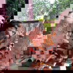 จ้ะโอ๋ ดีสซี่ profile icon