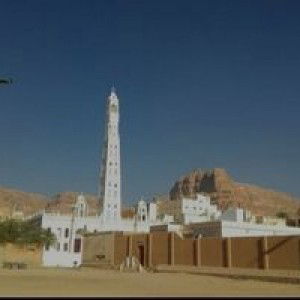 Fatimah Alathos profile icon