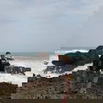 Ante Vii profile icon