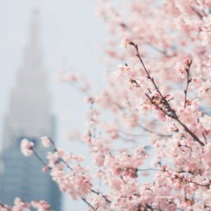 Shahira Sufian profile icon