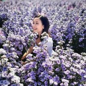 Natcha Chinawong profile icon