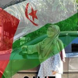 Shima SafiyaSafuan profile icon