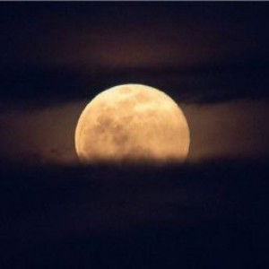 Resti Arizka profile icon