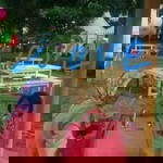 Risani Pertiwi profile icon