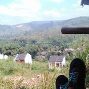 Mega Sharie profile icon