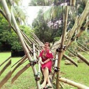 Jobina Jovi profile icon