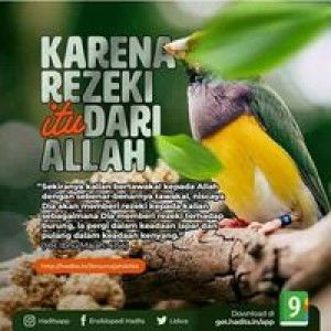 Andii Mb profile icon