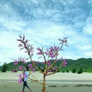 Siti Mutmaina profile icon