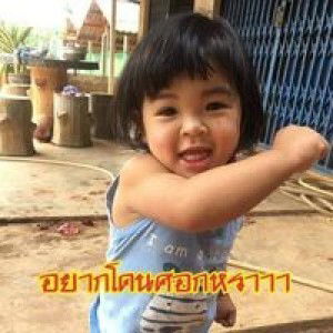 ละอ่อน เหนือ profile icon