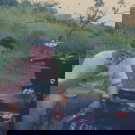 Try Angga Saputra Nasution profile icon