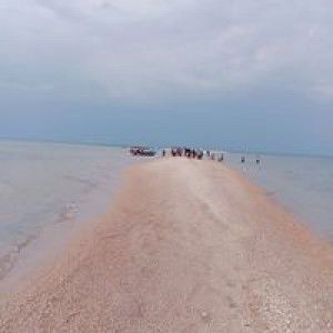 Souwanee Kanthanapat profile icon