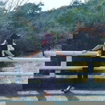 Yhanie Yhan profile icon