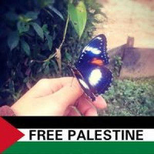 Septiani Dw profile icon