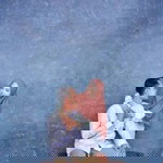 Fifi Tri Lestari profile icon