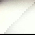 Michelle Saguiped profile icon