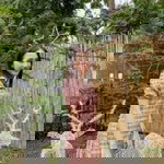 Puly Twins profile icon