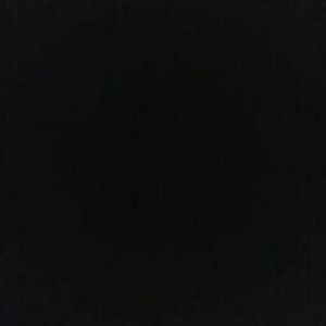 ศิรภัสสร เรืองฤทธิ์ profile icon