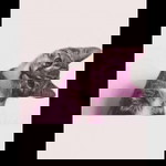 Cody Shell profile icon
