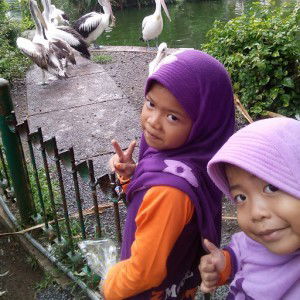 safa_ marwah1012 profile icon