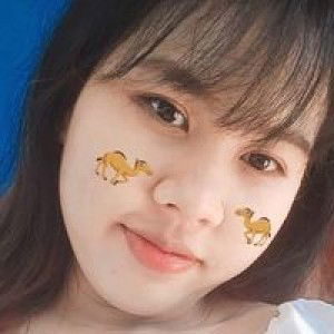 Phonthip Sattapan profile icon