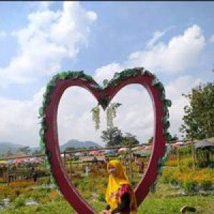 Indah WHidatye profile icon