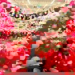 Valerie Grace Raymundo Busa profile icon