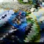 Fitria Devando profile icon