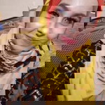 Harmisha Hafazley profile icon