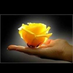 Nurs Kim profile icon