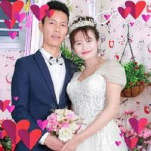 Dung Thùy Vũ profile icon