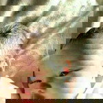 Joniesel A. Casta profile icon