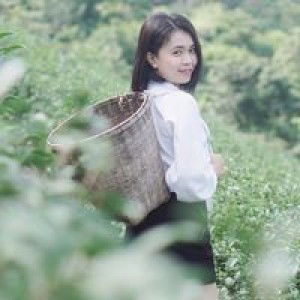 PauL'a Nipaporn profile icon