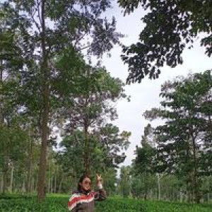 Anissha Puspita Sari profile icon