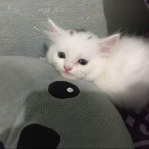 Triendamarshela 123 profile icon